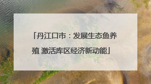 丹江口市：发展生态鱼养殖 激活库区经济新动能