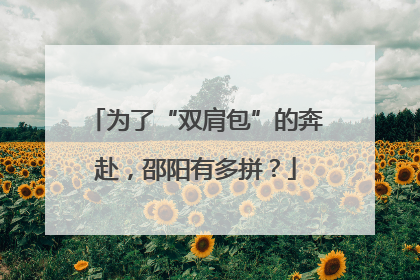 为了“双肩包”的奔赴，邵阳有多拼？