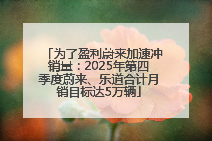 为了盈利蔚来加速冲销量：2025年第四季度蔚来、乐道合计月销目标达5万辆