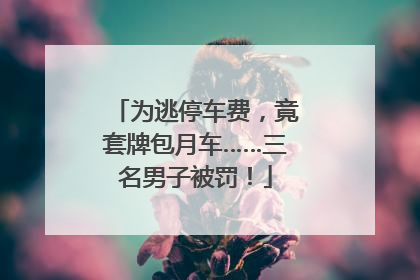 为逃停车费，竟套牌包月车……三名男子被罚！