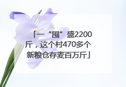 一“囤”盛2200斤，这个村470多个新粮仓存麦百万斤