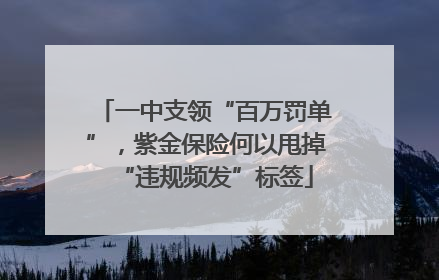 一中支领“百万罚单”，紫金保险何以甩掉“违规频发”标签