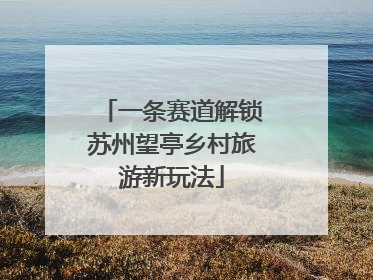 一条赛道解锁苏州望亭乡村旅游新玩法