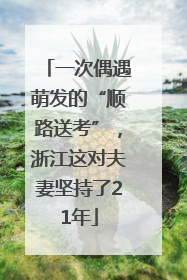 一次偶遇萌发的“顺路送考”，浙江这对夫妻坚持了21年