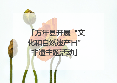 万年县开展“文化和自然遗产日”非遗主题活动
