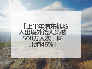 上半年浦东机场入出境外籍人员破500万人次，同比增46%