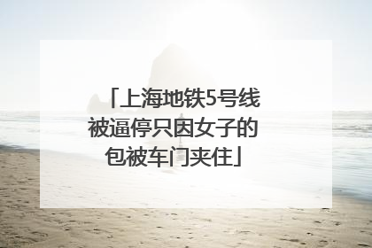 上海地铁5号线被逼停只因女子的包被车门夹住