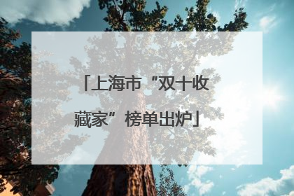上海市“双十收藏家”榜单出炉