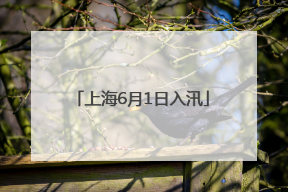 上海6月1日入汛