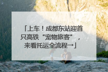 上车！成都东站迎首只高铁“宠物旅客”，来看托运全流程→