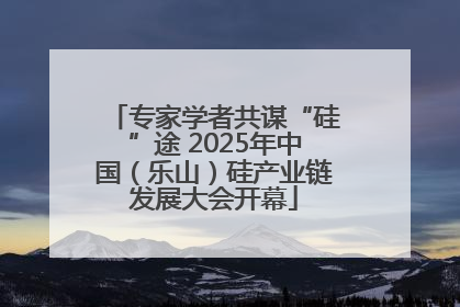 专家学者共谋“硅”途 2025年中国（乐山）硅产业链发展大会开幕