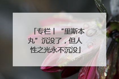 专栏丨“里斯本丸”沉没了，但人性之光永不沉没