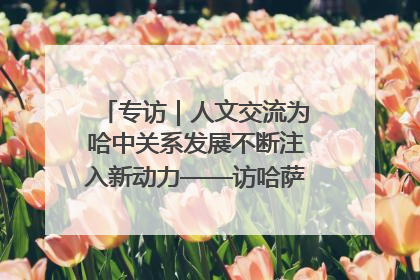 专访｜人文交流为哈中关系发展不断注入新动力——访哈萨克斯坦文化与信息部部长巴拉耶娃