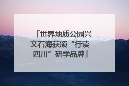 世界地质公园兴文石海获颁“行读四川”研学品牌