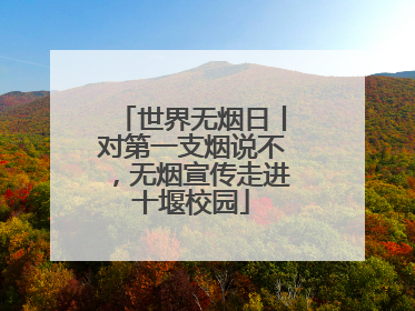 世界无烟日丨对第一支烟说不，无烟宣传走进十堰校园