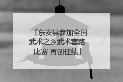 东安县参加全国武术之乡武术套路比赛 再创佳绩