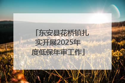 东安县花桥镇扎实开展2025年度低保年审工作