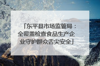 东平县市场监管局：全覆盖检查食品生产企业守护群众舌尖安全