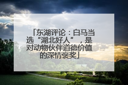 东湖评论：白马当选“湖北好人”，是对动物伙伴道德价值的深情褒奖