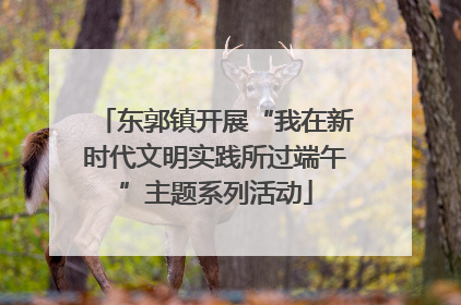 东郭镇开展“我在新时代文明实践所过端午”主题系列活动
