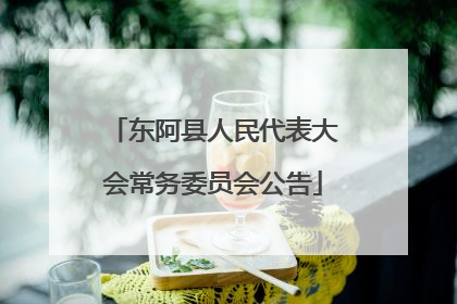 东阿县人民代表大会常务委员会公告