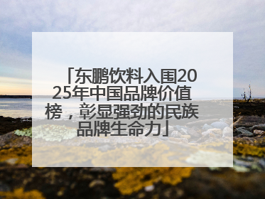 东鹏饮料入围2025年中国品牌价值榜，彰显强劲的民族品牌生命力