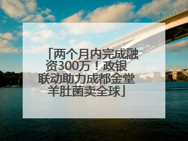 两个月内完成融资300万！政银联动助力成都金堂羊肚菌卖全球