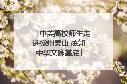 中美高校师生走进徽州灵山 感知中华文脉基底