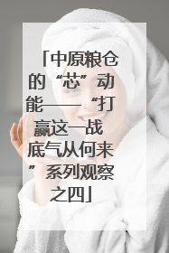 中原粮仓的“芯”动能——“打赢这一战 底气从何来”系列观察之四