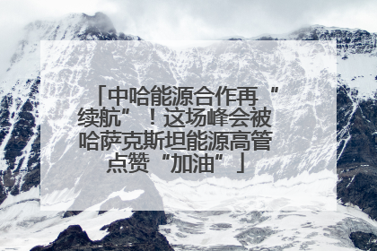中哈能源合作再“续航”！这场峰会被哈萨克斯坦能源高管点赞“加油”