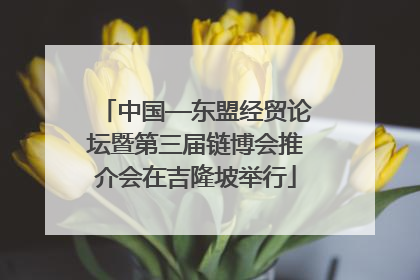 中国—东盟经贸论坛暨第三届链博会推介会在吉隆坡举行
