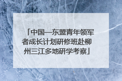 中国—东盟青年领军者成长计划研修班赴柳州三江多地研学考察