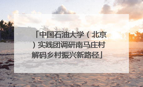 中国石油大学（北京）实践团调研南马庄村解码乡村振兴新路径