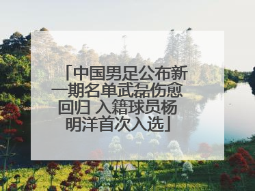 中国男足公布新一期名单武磊伤愈回归 入籍球员杨明洋首次入选