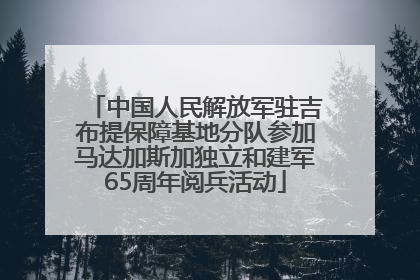 中国人民解放军驻吉布提保障基地分队参加马达加斯加独立和建军65周年阅兵活动
