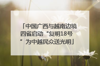 中国广西与越南边境四省启动“复明18号”为中越民众送光明