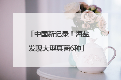 中国新记录！海盐发现大型真菌6种