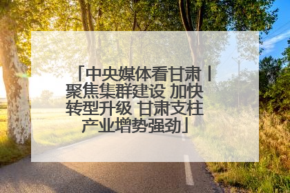 中央媒体看甘肃丨聚焦集群建设 加快转型升级 甘肃支柱产业增势强劲