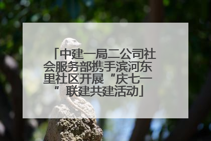 中建一局二公司社会服务部携手滨河东里社区开展“庆七一”联建共建活动