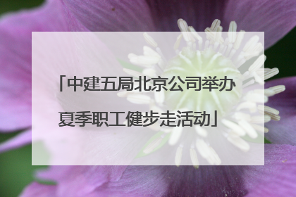 中建五局北京公司举办夏季职工健步走活动
