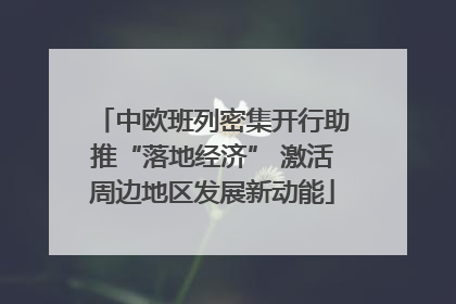 中欧班列密集开行助推“落地经济” 激活周边地区发展新动能
