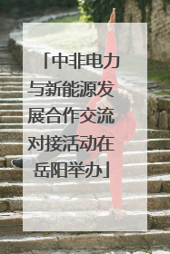 中非电力与新能源发展合作交流对接活动在岳阳举办
