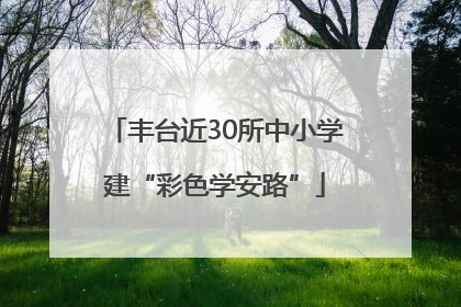 丰台近30所中小学建“彩色学安路”