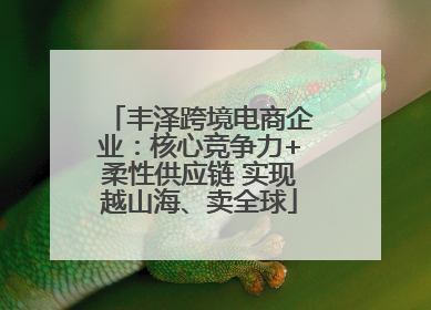 丰泽跨境电商企业：核心竞争力+柔性供应链 实现越山海、卖全球