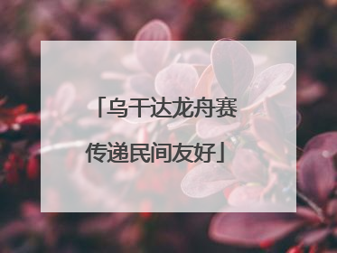 乌干达龙舟赛传递民间友好