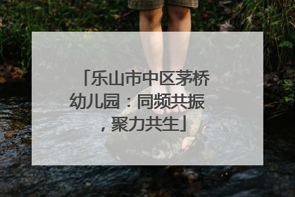 乐山市中区茅桥幼儿园：同频共振，聚力共生