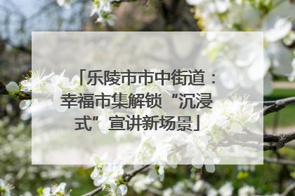 乐陵市市中街道：幸福市集解锁“沉浸式”宣讲新场景