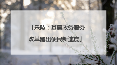 乐陵：基层政务服务改革跑出便民新速度