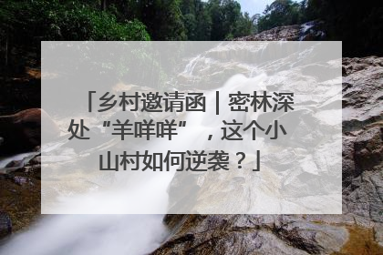 乡村邀请函｜密林深处“羊咩咩”，这个小山村如何逆袭？
