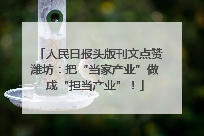 人民日报头版刊文点赞潍坊：把“当家产业”做成“担当产业”！